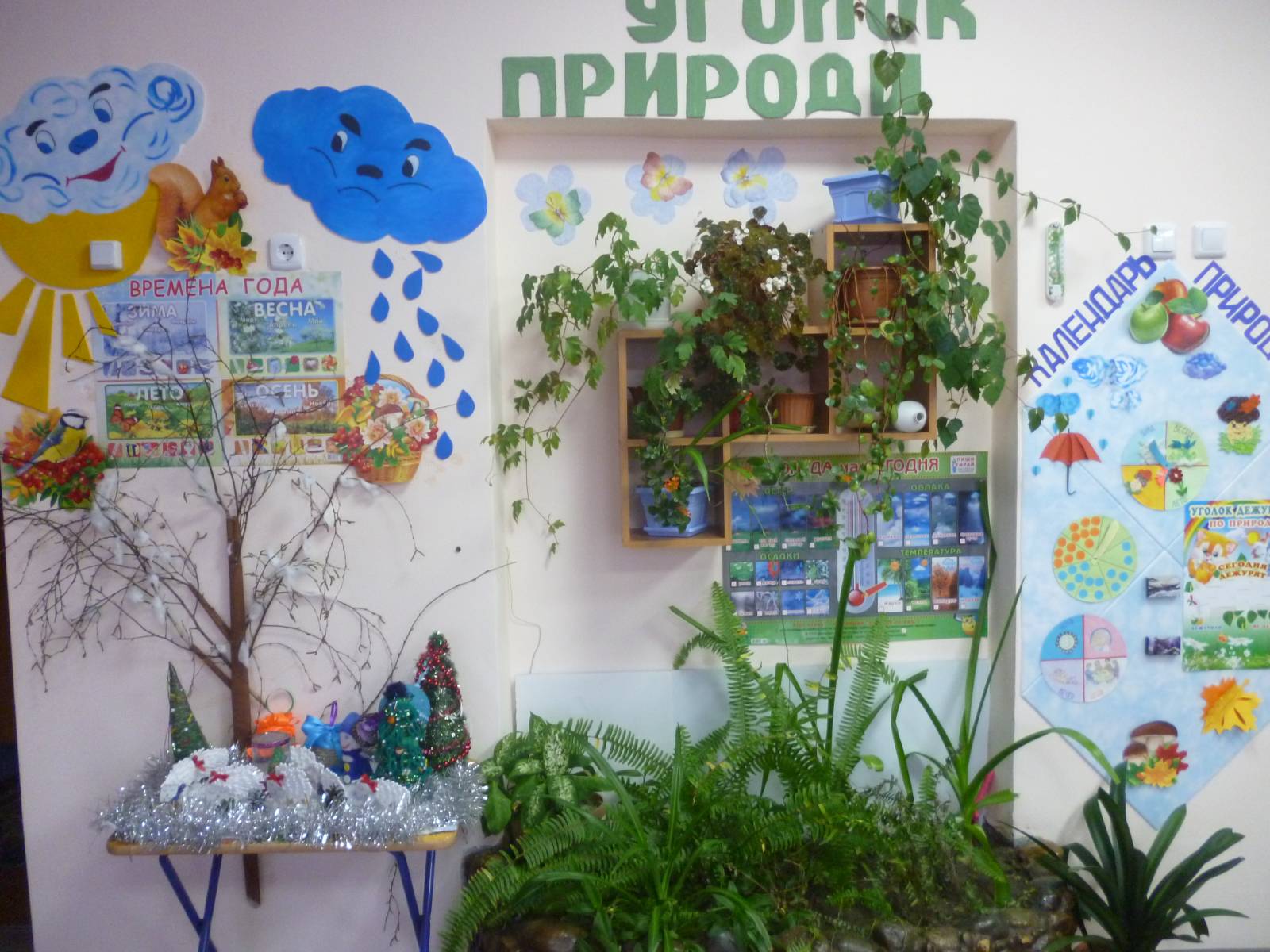 Уголок природы своими руками картинки 11